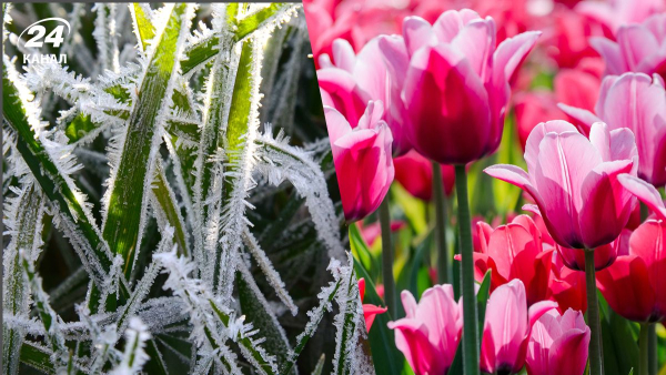 Weather forecast in Ukraine for 04/13/2026 – where there will be rain&hellip;