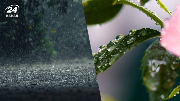 Weather in Ukraine – forecasters warned of frost and rain, Ukrainian news