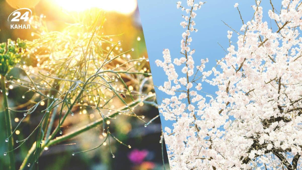 Weather in Ukraine – warming in April, when it gets warmer in…