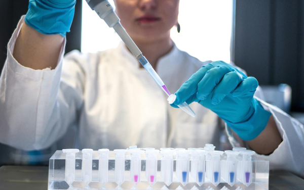 Artificial intelligence to reduce animal testing has shown successful results