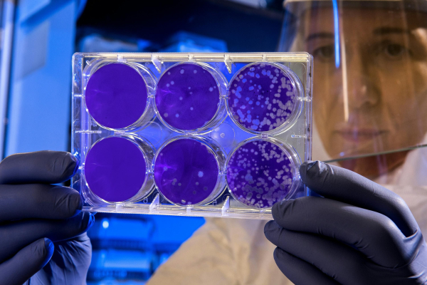 Biofuel from bacteria and sunlight – how the&hellip;