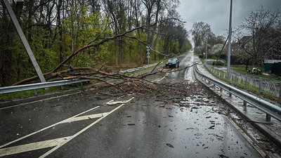 Bad weather in Kyiv region: more than 18 thousand consumers without electricity