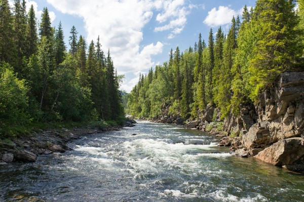Earth's rivers are rapidly losing oxygen due to global warming