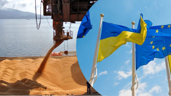 EU regulations and agricultural exports – Ukraine launches new inspection system