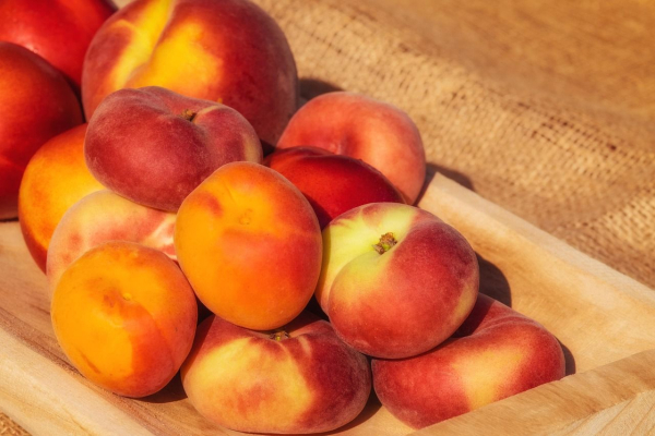 Frosts threaten fruit: what awaits the peach and apricot harvest