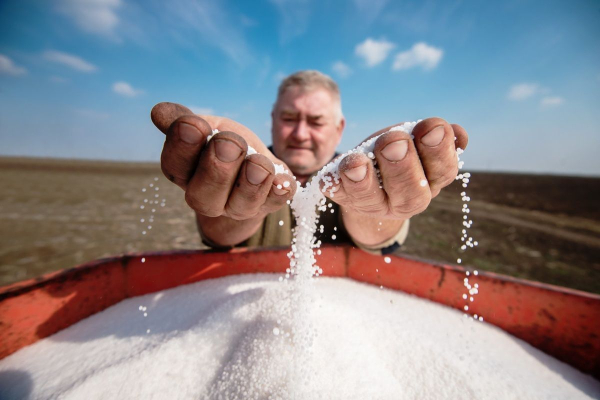 Global fertilizer prices have risen sharply due to…