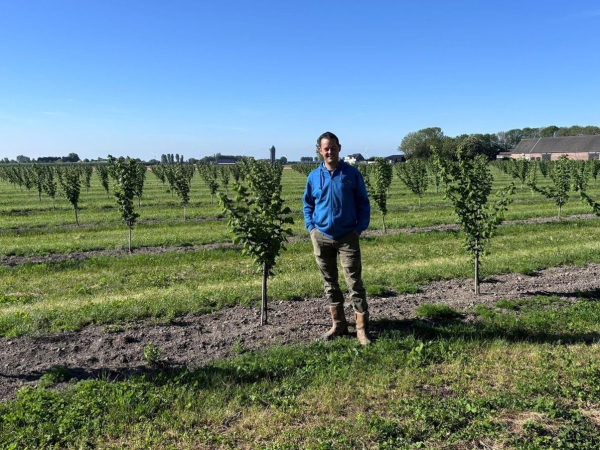 Nuts instead of potatoes – farmer changes business due to market crisis