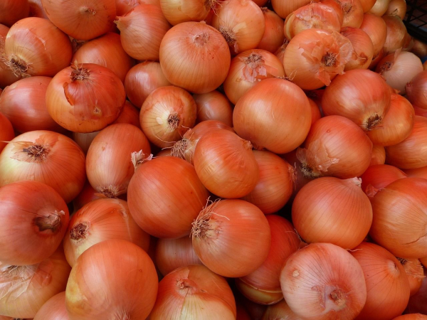 Onion prices have started to rise in Ukraine after a long decline