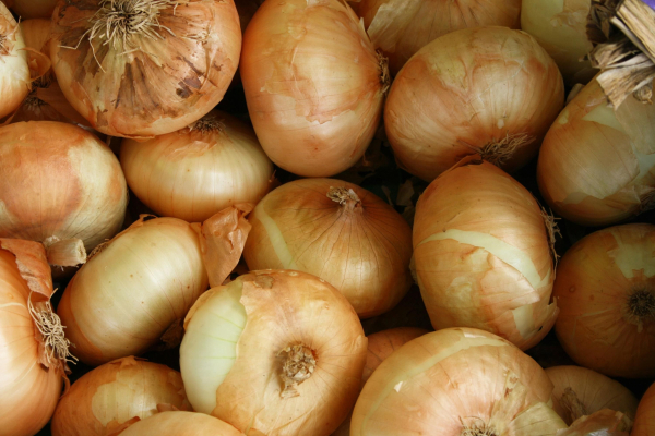 Onion prices in Ukraine have risen sharply due&hellip;