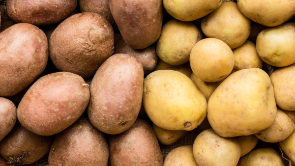 Poland urges buying local potatoes due to price collapse and imports