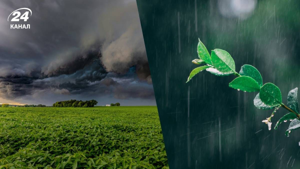 Rain in Ukraine – where in Ukraine it will rain, where precipitation&hellip;