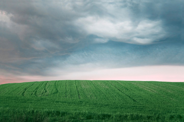 Registration of a land share as an inheritance – rules and deadlines during wartime