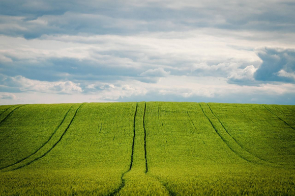 Registration of inheritance for land – how to…