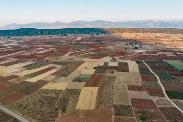 Unauthorized land seizure – how a farmer can protect his land through court