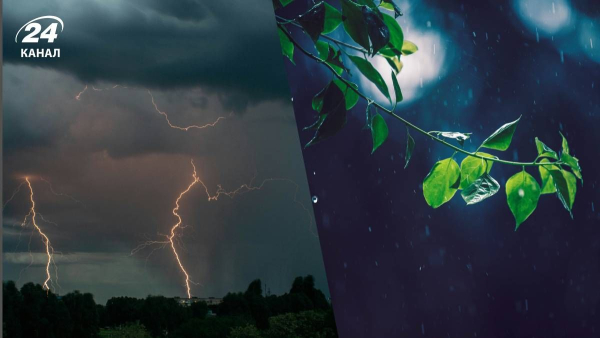 Weather in Ukraine in May – where it will rain today and&hellip;