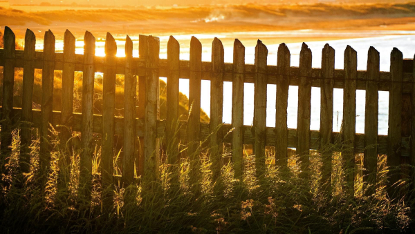 What restrictions on the height of fences apply…