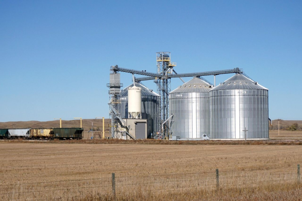 World wheat prices are rising – Korea did&hellip;